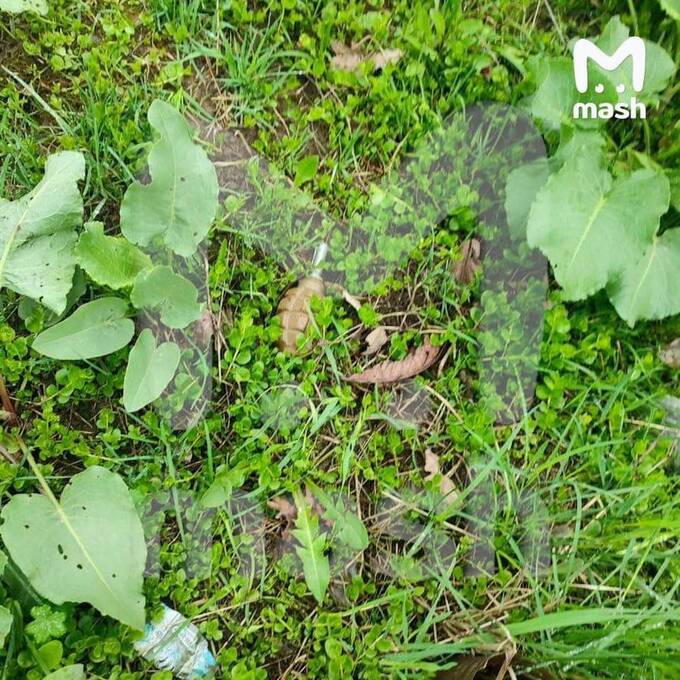  -1           dqxikeidqxiqxtsld