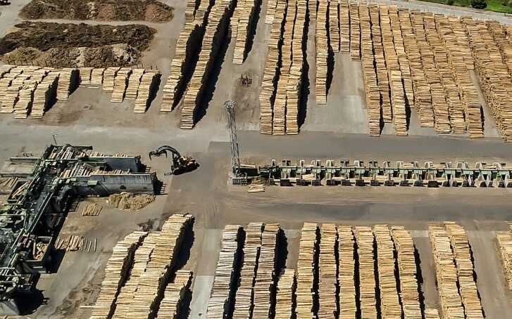 Romanian subsidiary of Austrian company accused of selling "overlength" timber without paying taxes