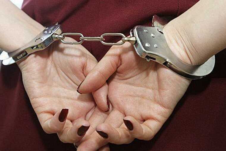 Суд в Москве отправил на 9 суток ареста «тарелочницу» с 32 административными нарушениями