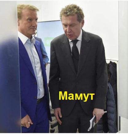 Возвращение блудного Мамута Детский, мир, реорганизация, ООО, Стискин, Грачев, Кленов, скандал, махинации, акционеры, обман, Греф, Сбербанк, Керимов, Мамут, ВТБ, Костин, делистинг