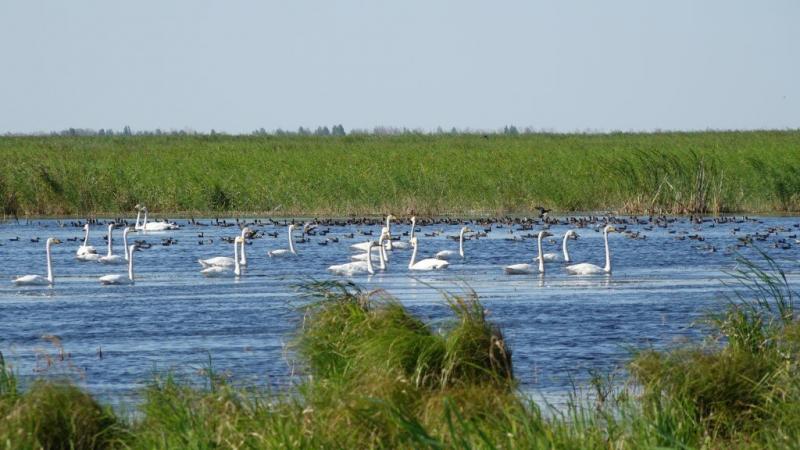 rxidquidttihhkrt dqxikeidqxiqxtsld