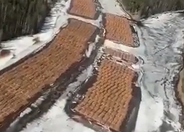 rxidquidtridqukrt dqxikeidqxiqxtsld