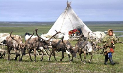 Казус «виртуального» Артюхова