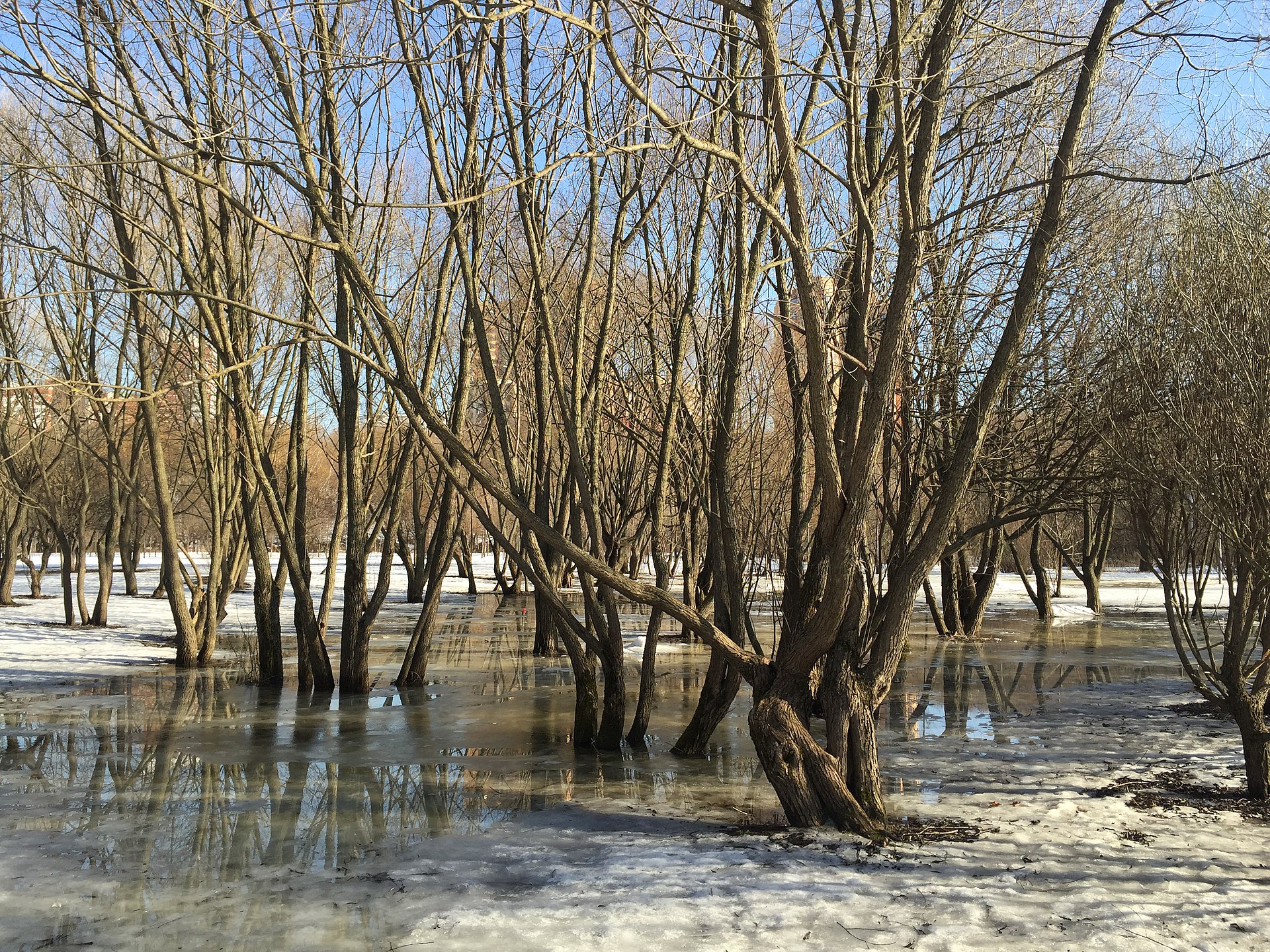 Долина_реки_Сетунь.Фото © Wikipedia