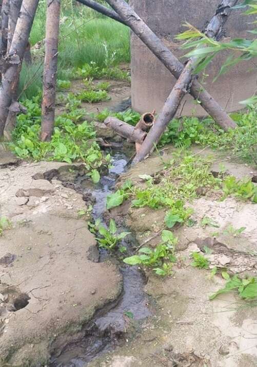 tidttiqzqiqkdvls dqxikeidqxiqxtsld