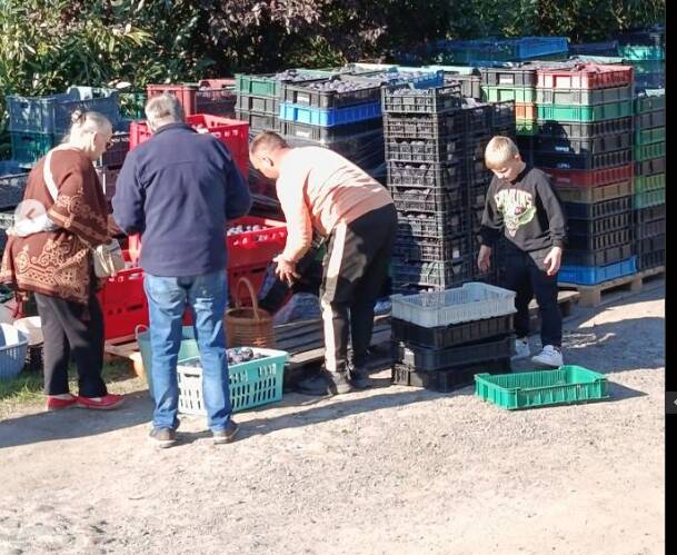  xdidqzihhiqkatf dqxikeidqxiqxtsld